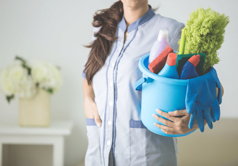 maid cleaning in london ontario